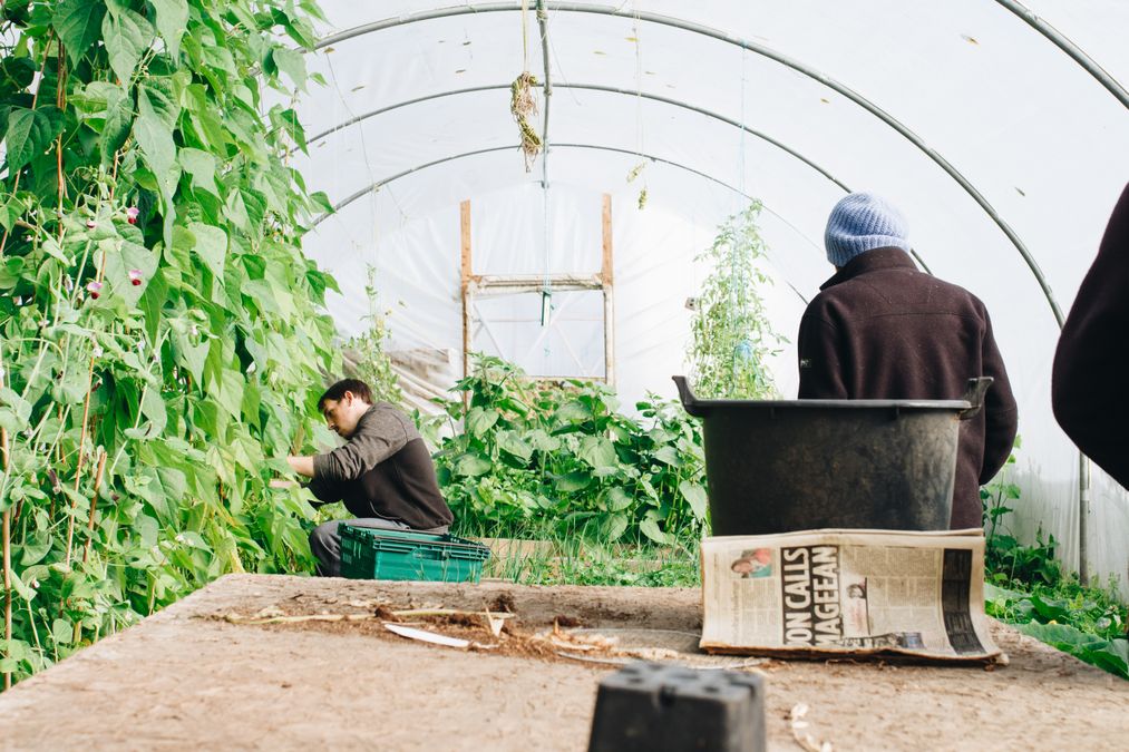 LED Grow Lampe Vollspektrum Test 2026: Was Zimmerpflanzen wirklich brauchen (SANlight, Mars Hydro, E27-Alternativen im PPF-Vergleich)