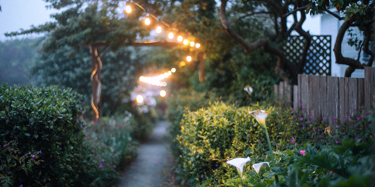 Niedervolt-Gartenbeleuchtung: Warum 12V fast immer die falsche Wahl ist, was 24V besser macht, und wie Paulmann Plug & Shine, Lightpro und Garden Lights im Systemvergleich abschneiden