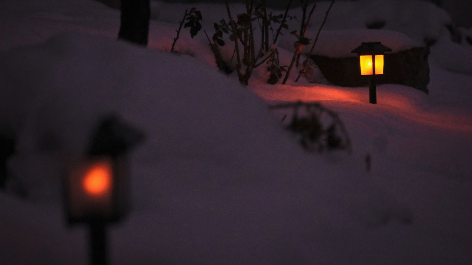 Winterfeste Solarleuchten 2026: Warum die meisten Gartenlampen ab minus fünf Grad aufgeben und welche vier Modelle den Frost aushalten